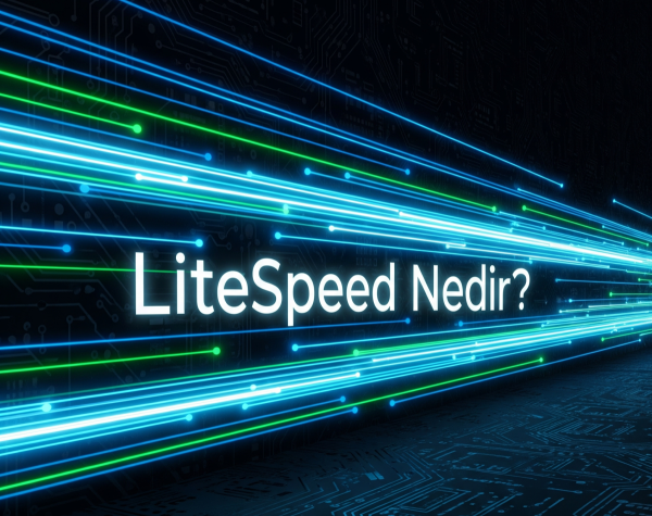 LiteSpeed Nedir? Web Sitenizi Uçuran Teknoloji