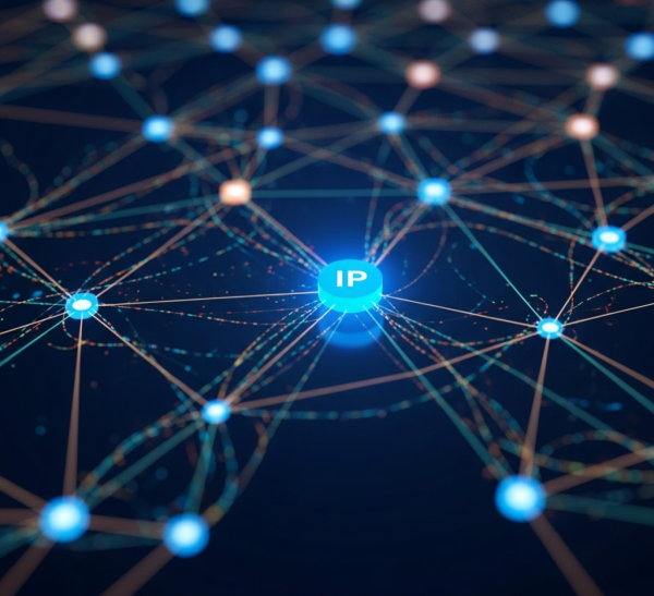 IP Adresi Nedir? İnternetin Kimlik Kartını Anlama Kılavuzu